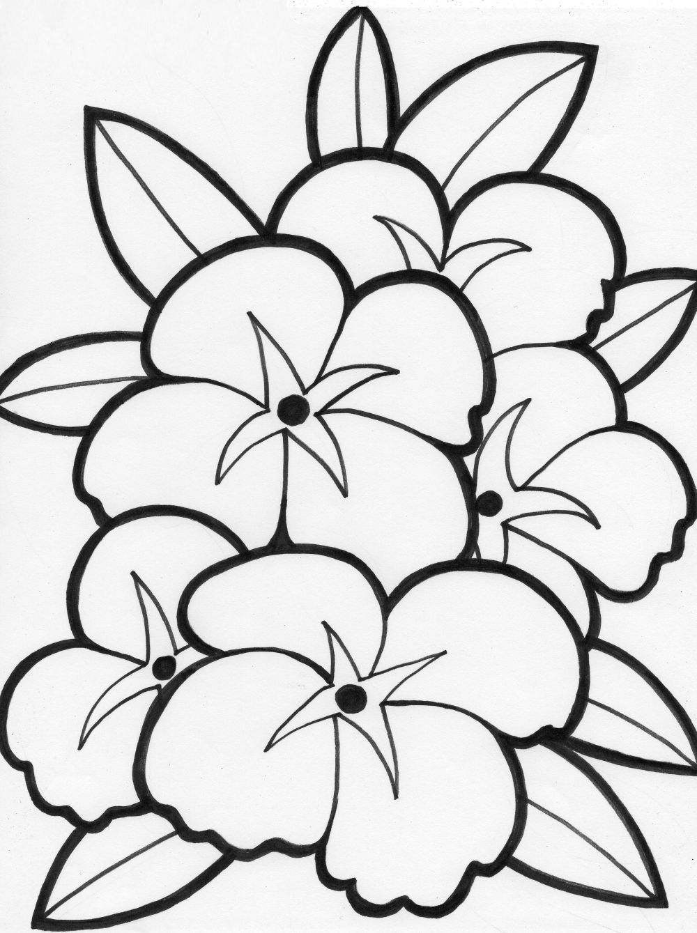 Printable Flower Coloring Pages